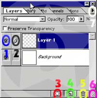 Layer